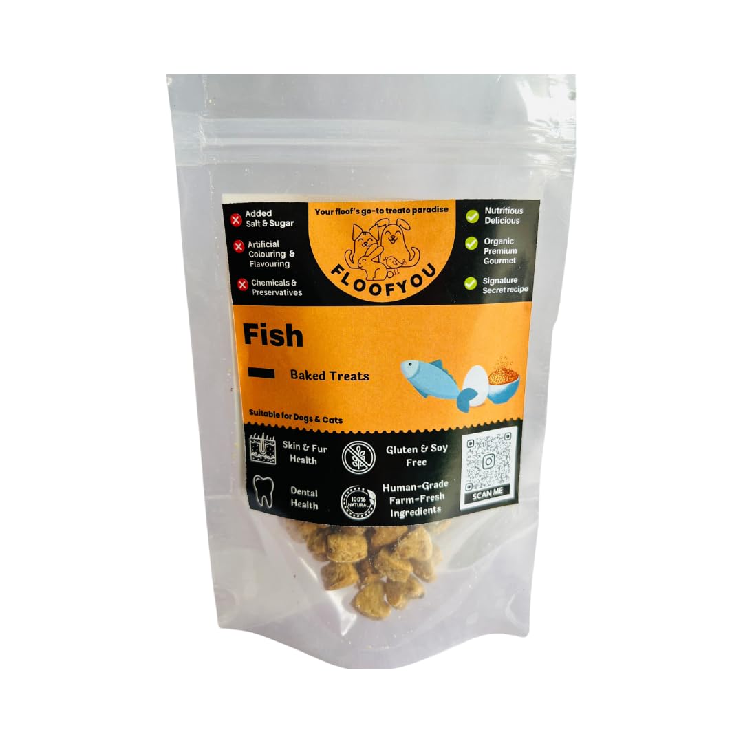 FloofYou Fish Cookies Small Bite Sized Natural Healthy Cat Treat Snacks (B0CBMQ28NY) Amazon Price History, Amazon Price Tracker