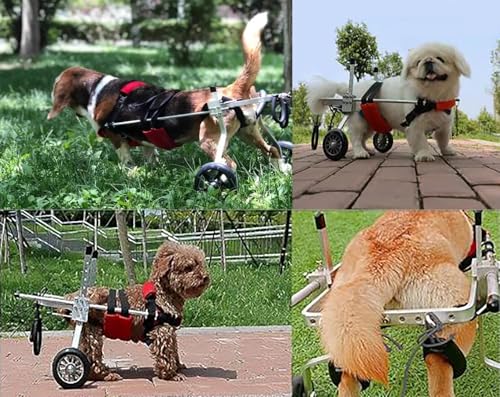 Silla de ruedas para patas traseras de perros grandes: paseos cómodos en talla XL 7