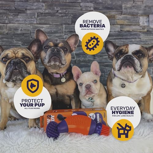 Paw Buddy - Hundepfotenreiniger und Tierhaarpflegebürste - Der schnellste Weg, um die Pfoten Ihres schlammigen Hundes mit 300 ml Wasser zu reinigen - mit Kammaufsatz zum Entfernen Loser Haare
