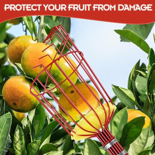 Recogedor de frutas telescópico con mástil extensible reforzado 4