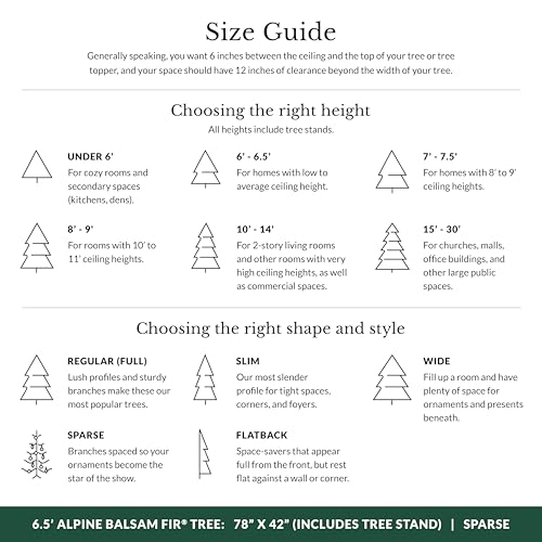 Image of Balsam Hill 6.5ft Pre-Lit Alpine Balsam Fir - Sparse Artificial Christmas Tree with 400 Clear LED Fairy Lights, Pre-Fluffed Memory Wire Branches & Easy Plug Technology for Elegant Spaces