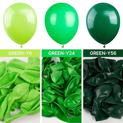 PartyWoo Lime Green Balloons, 100 pcs Lime Balloons Different Sizes Pack of 36 Inch 18 Inch 12 Inch 10 Inch 5 Inch Yellowish Green Balloons for Balloon Garland or Arch as Party Decorations, Green-Y6 - 6