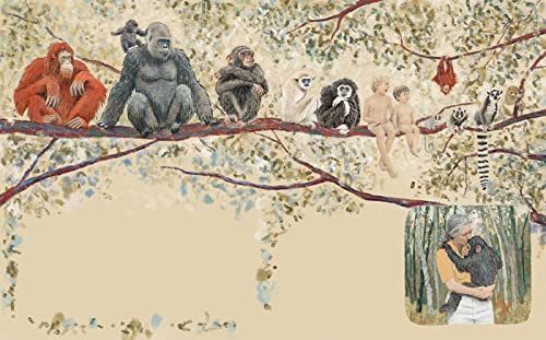 Los orangutanes y yo: 3 (Babel)