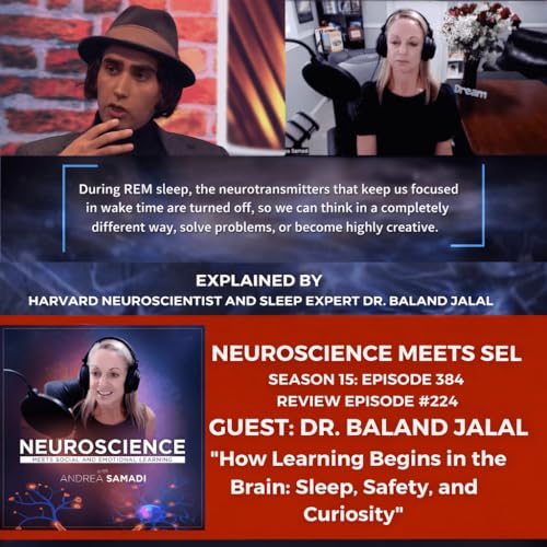 How Learning Begins in the Brain: Sleep, Safety and Curiosity (Revisiting Dr. Baland Jalal)