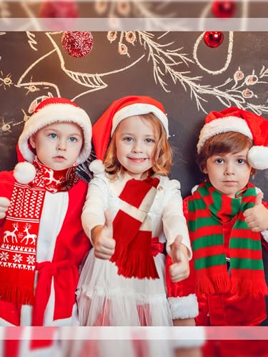 Liitrsh 4 Pcs Unisex Christmas Scarf Christmas Theme Scarves Winter Knitted Scarf Wrap Winter Warm Long Scarf with Tassels, 71inch4