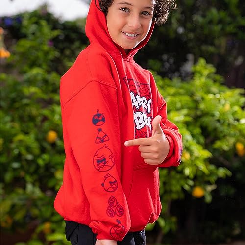 Angry Birds Official Comic Fill Box Youth Printed Hooded Fleece Pullover Sweatshirt for Boys, Girls, Unisex Red Size Small4