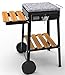 BARBECUE A GAS BIO COOKING 1 FUOCO FERRABOLI ART. 61