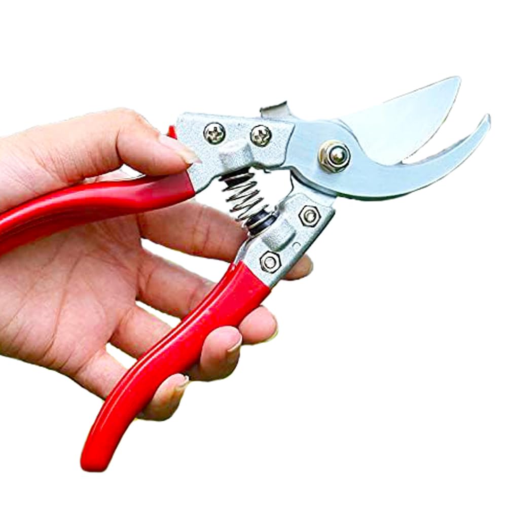 Forbici da Giardino Professionali, Cesoie da Potatura Giardinaggio 18cm