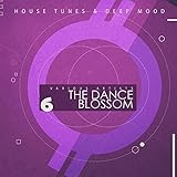 Tulip Core records