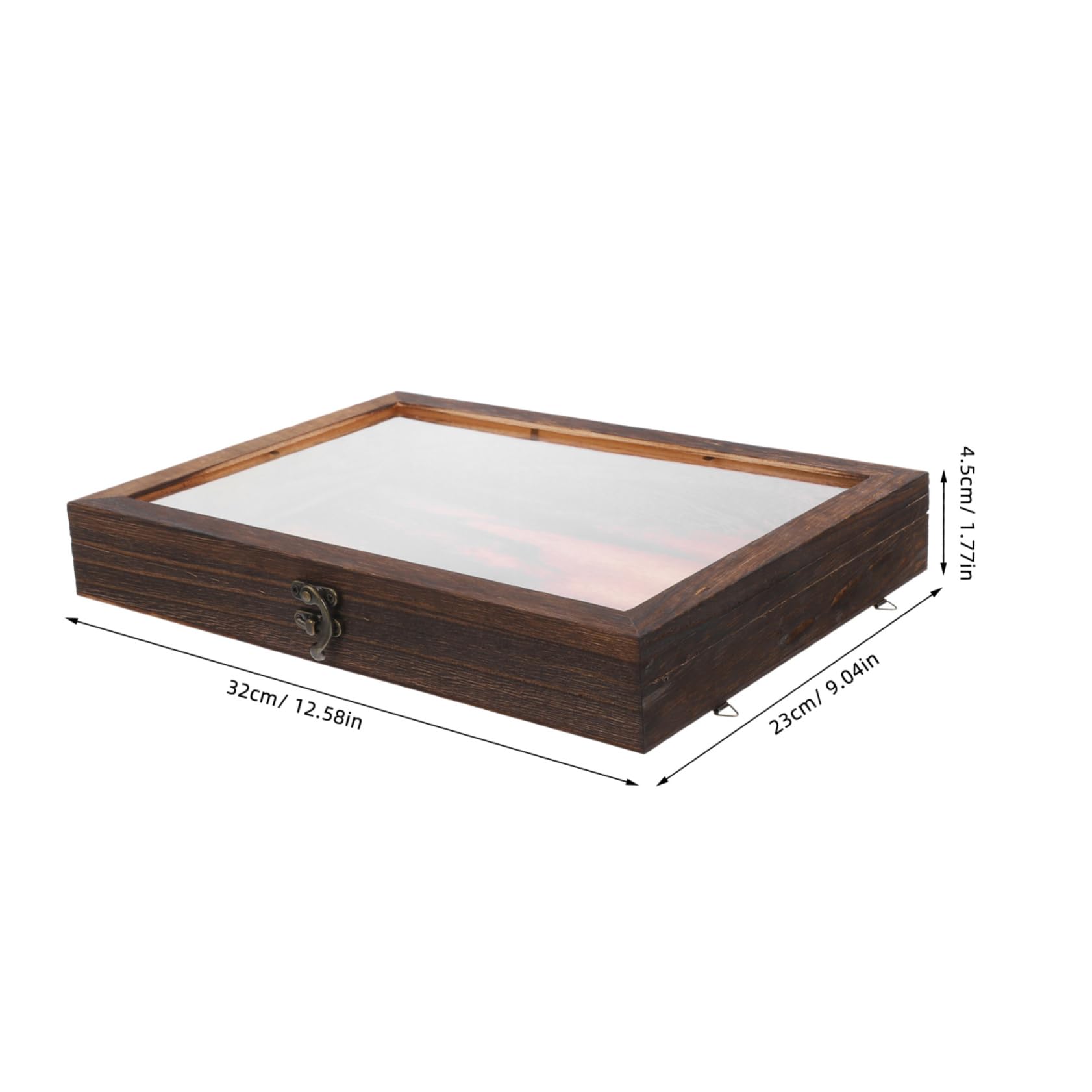 Cabilock Wooden Display Case for Insect Specimen Butterfly Enclosure Flower Specimen Storage Lock Secure Random Style