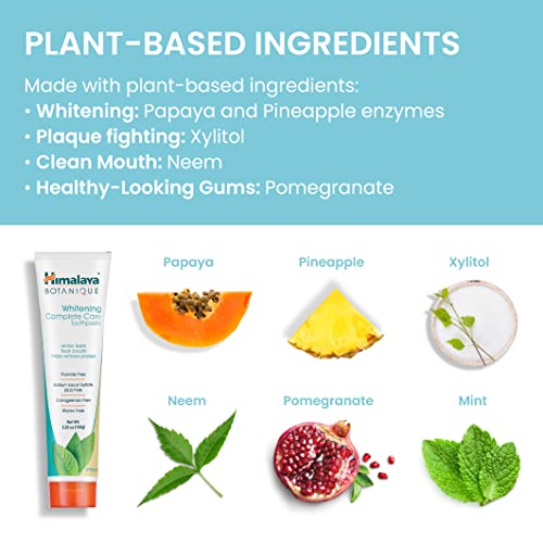 Vegane Zahnpasta Himalaya Botanique Whitening Simply Mint 150g