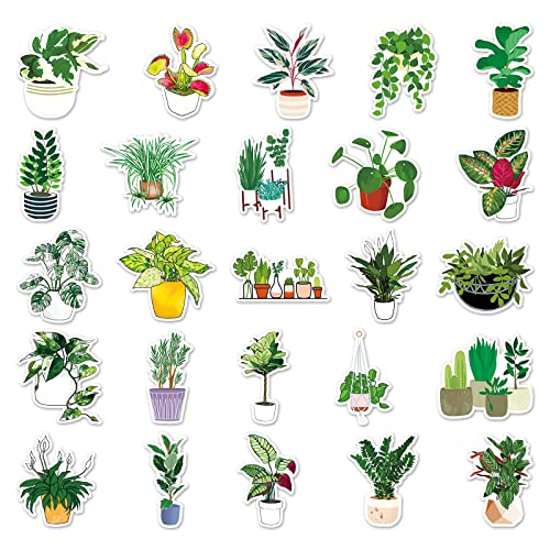 50Pcs Cute Lovely Green Plants Stickers Hydroflasks Water Bottles Laptop Phone Computer Vinyl Foliage Botanical Watercolor Flowers Cactus Succulent Green Potted Stickers Decals For Teens Girls Adults #TOP1