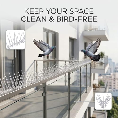 Image of Birrd Spikes for Balcony & AC Outdoor I Transparent Polycarbonate Bird Deterrent Spike | Pigeon Control | Anti Roosting Spikees for Terrace, Window, Solar Panels (Regular Bird Spike Pack of 10)