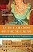 In the Shadow of the Sun King: A Darkness to Light novel (Book 1)