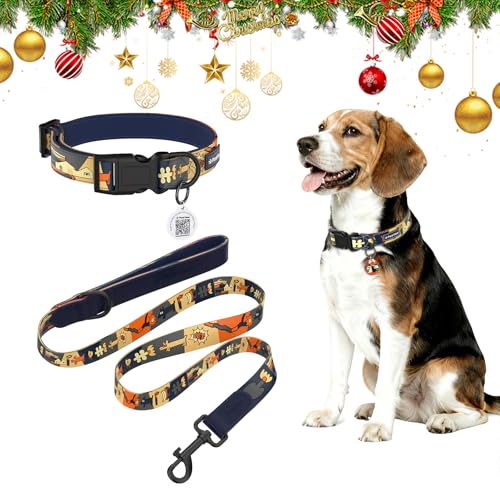 Nachthimmels-Stil Personalisierte Hundeleine und Halsband Set Verstellbar,mit Hundemarke qr Code, Passend für kleine Hunde und mittelgroße Hunde S (Halsumfang: 28–43 cm, Leinenlänge: 1.5 m) DE