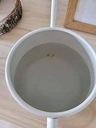 Burgon & Ball Gießkanne 0,7 Liter - Steincreme Mit Holzgriff