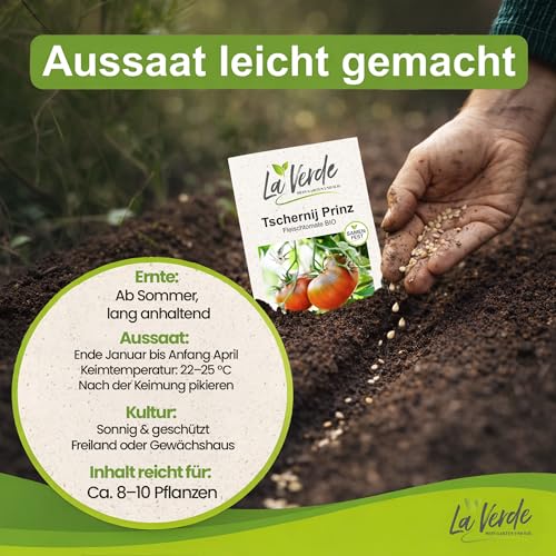 La Verde MEIN GARTEN UND ICH. Tschernij Prinz BIO Tomatensamen für ca. 8–10 Pflanzen, aromatische Fleischtomate, Saatgut ohne Gentechnik