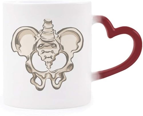 Miniatura 1 de Human Skeleton Sketch Simple Heat Sensitive Mug Red Color Changing Stoneware Cup