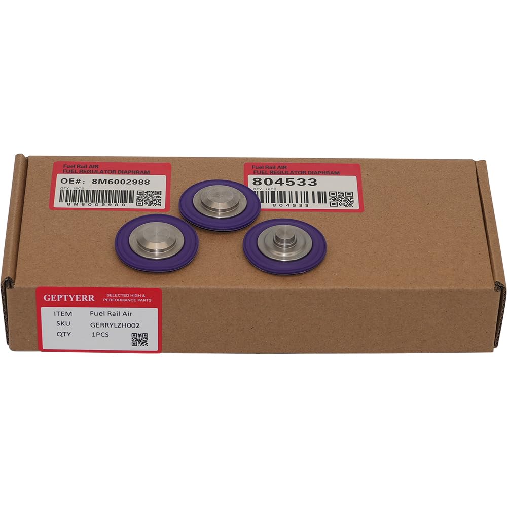 GEPTYERR 2pcs 8M6002988 Fuel Rail A sold for $20 at auction (list price $429)