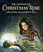 The legend of the Christmas rose