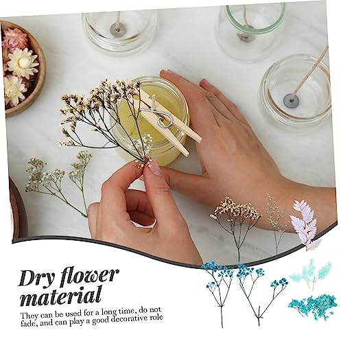Material de flores secas para manualidades ORFOFE miniatura 6