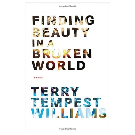 Finding Beauty in a Broken World