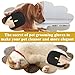 PKRFCJ Pet Double Sided Grooming Gloves,Static Removal Gloves for Pet Hair,Multi-Function,for Washing,Hair Removal,Beauty,Sofa,Bed Sheets,Clothes,Suitable for Cats and Dogs