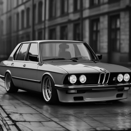  BMW E28 DRIFTING \'Drive with me\'