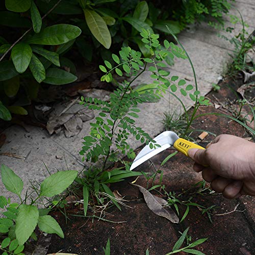 KEYI 6-Inch Japanese Style Mini Sickle, Professional Gardening Grass Brush Tools, Vegetables Harvesting Sickle, Tight Space Weeding Sickle-Multipurpose