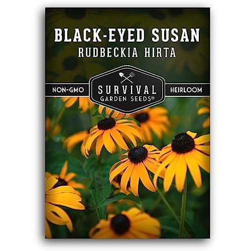 Black-Eyed Susan Wildflower Seeds for Planting - 1 Packet with Instructions to Plant and Grow Perennial Flowers in Your Home Garden - Non-GMO Heirloom Variety - Supports Healthy Ecosystems