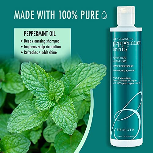 Brocato Peppermint Scrub Purifying Shampoo, Deep Cleansing, 10 Oz. | Fresh, Invigorating, & Lightweight With Pure Peppermint Oil | Ideal For Oily To Normal Hair Types | Sulfate & Paraben Free #TOP4
