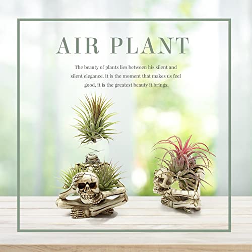 Bavokon Miniatur-Skelettfiguren,Skelett-Ornamente aus Harz für den Garten - Kreative Totenkopf-Dekoration für Hausregale, Hof, Kaminumhang – Bild 4