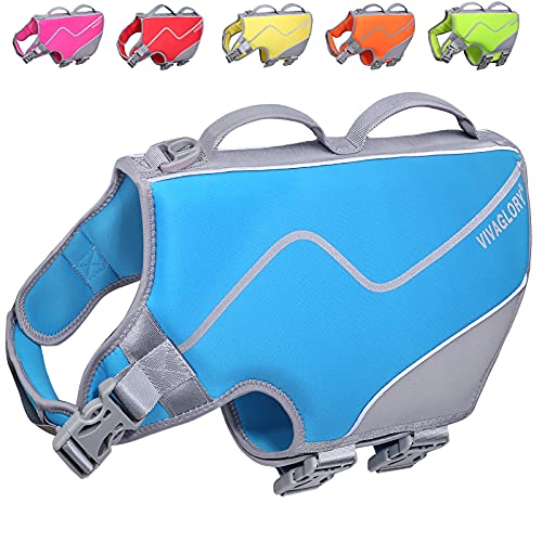 14 Amazing Dog Jackets That Make Your Dog Comfortable