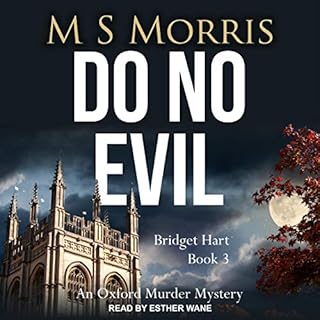 Do No Evil Audiolibro Por M S Morris arte de portada