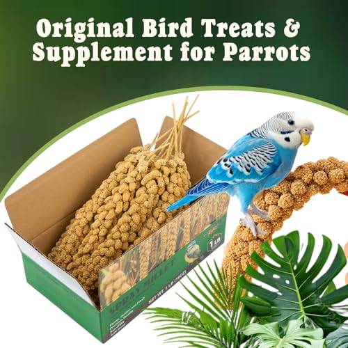 RANZ 1LBS Spray Millet Treat for Pet Birds, Hand-Harvested Bird Snack, Natural Sun-Dried Millet Spray for Parakeets, Parrots, Cockatiels, Lovebirds, Budgies, Finches, Canaries - Image 4