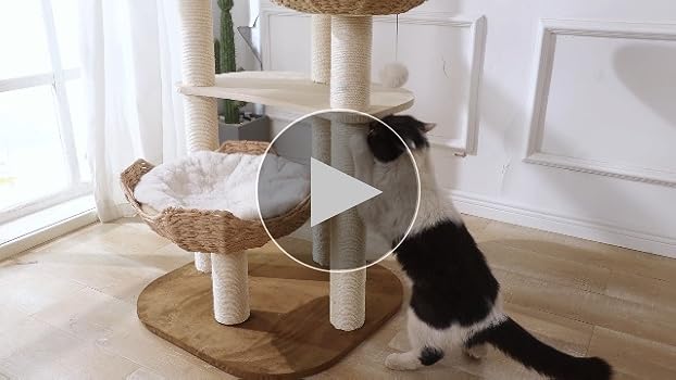 Amazon.com : Big Modern Design Cat Tree Tower with White