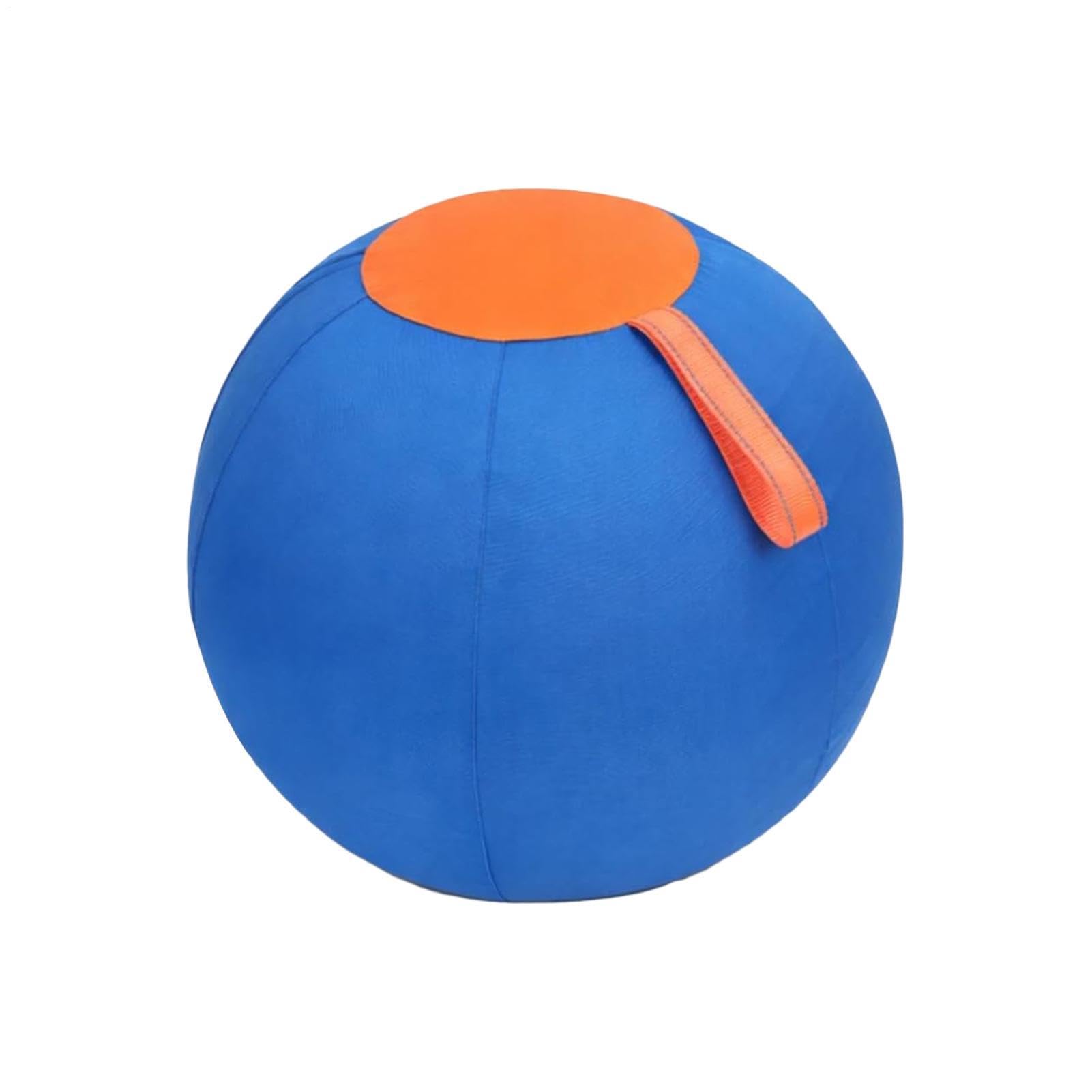 Pelota Grande de Pastoreo para Perros Resistente A Desgarros, Inflable, De | Pelota Juego Mascotas Juguete Adiestramiento Canino Deportes al Aire Libre, Jardín Patio y Terraza C