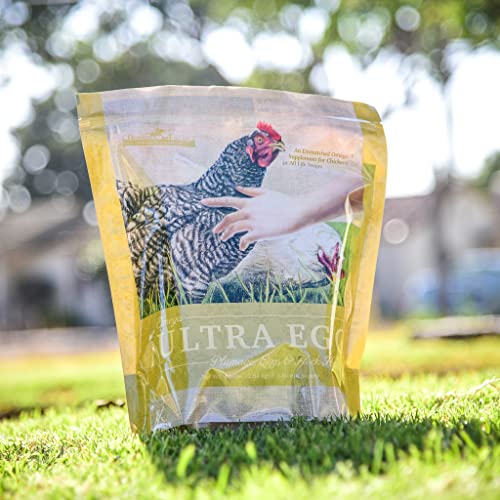 Omega Fields 4.5 LB Chicken Supplement For Health And Plumage Egg Production thumb #1