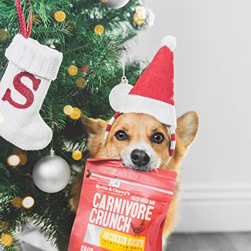 Stella & Chewy's Mixed Protein Treats, 5 Item Big Bundle #TOP4