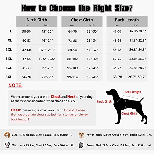 Buddypuppy Hundemantel Winter, Regenmantel Hund Wasserdicht, Fleece Hundejacke für Mittel Grosse Hund mit Geschirrloch & Reflexstreifen