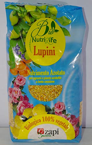 Zapi lupini Bio kg.1
