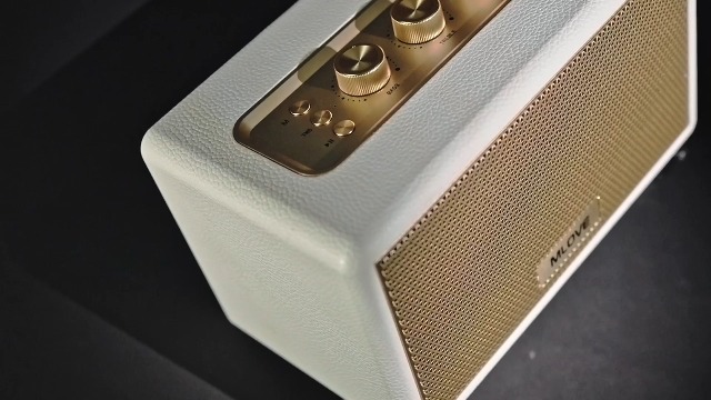 Amazon.com: MLOVE A200 Portable Retro Bluetooth Speaker with Aux