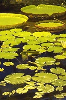 Notebook: a Photo of Victoria Amazonica (Poepp. ) Sowerby, Flower, Journal for Writing, Planners and Diaries to Write in, College Ruled Size 6 X 9 , 120 Pages, Blank Dotted : This Notebook Belongs to