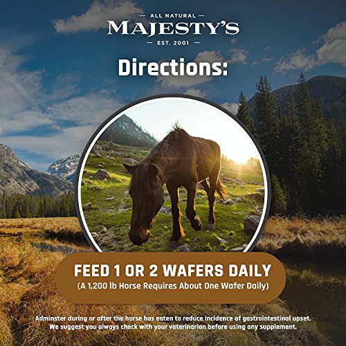 Majesty's Bio+ Biotin Wafers - Superior Horse / Equine Hoof And Coat Support Supplement - Copper, Zinc, Lysine, Methionine (60 Count) #TOP4