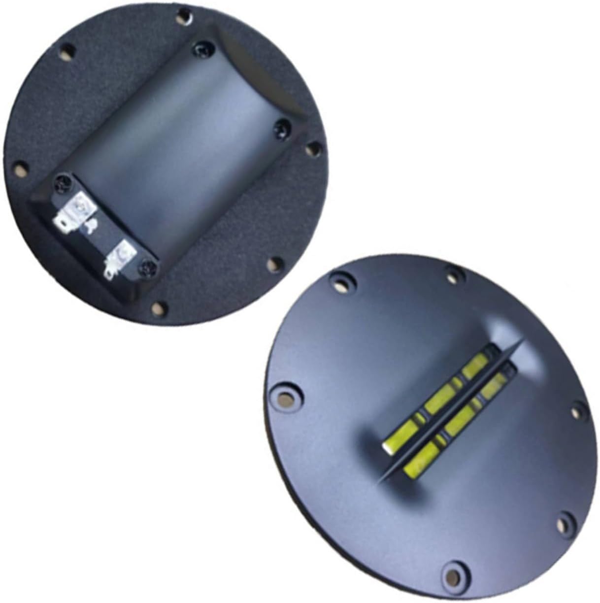 トックリヤシ 1.4m 大株 超希少観葉植物 鉢ごと無料で発送致します