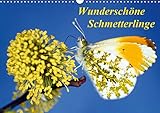 VIELFALT - Mit über 25.000 verschiedenen Kalendern bietet der CALVENDO Verlag für jeden Geschmack das richtige Produkt. Zudem sind die Kalender meist in den Formaten DIN A5, DIN A4, DIN A3 sowie DIN A2 verfügbar. Der ideale Kalender für Ihr Wohnzimmer, Schlafzimmer, Küche, Esszimmer sowie für Kinderzimmer.