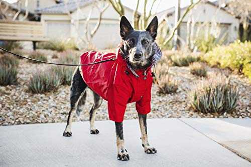 Ellie Dog Wear Red Zip Up Dog Raincoat With Reflective Buttons, Pockets, Water Resistant, Adjustable Drawstring, Removable Hoodie - Size Xs To Xxl Available - Stylish Premium Dog Raincoats (Xxl) #TOP4