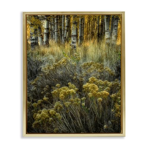 Woodland Wildlife Botanical, 16 x 20 Inch Canvas in Floater Frame