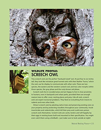 National Wildlife Federation(R): Attracting Birds, Butterflies, and Other Backyard Wildlife, Expanded Second Edition (Creative Homeowner) 17 Projects & Step-by-Step Instructions to Give Back to Nature - Image 7