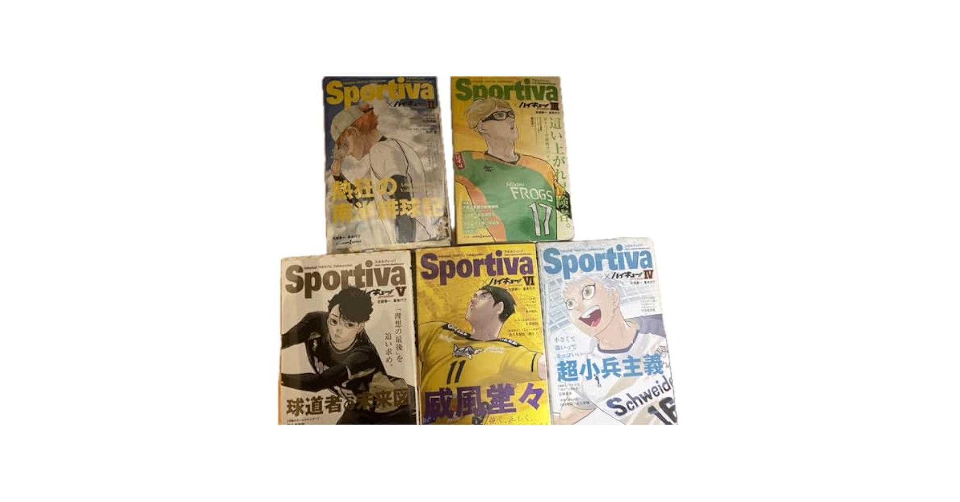 ハイキュー!! ショーセツバン 小説全巻セット sportiva Amazon